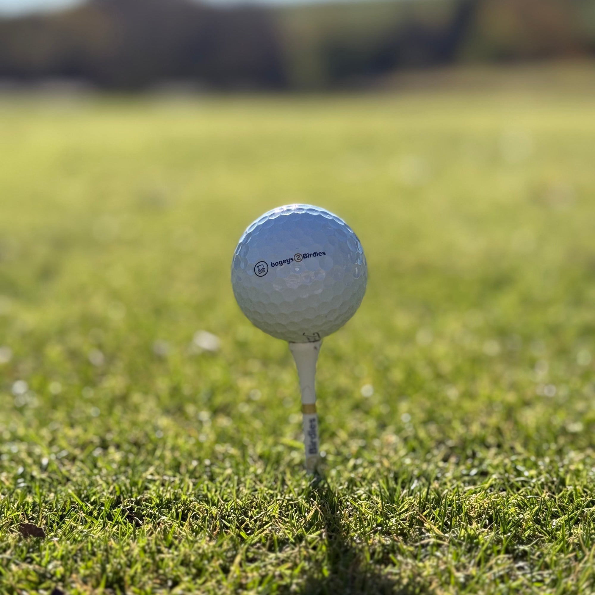 bogeys2Birdies