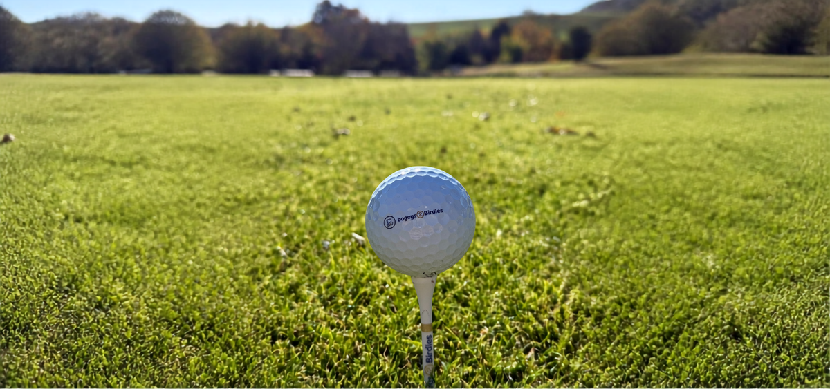 A white golf ball on a tee stand on a grassy golf course, with trees and hills blurred in the background.