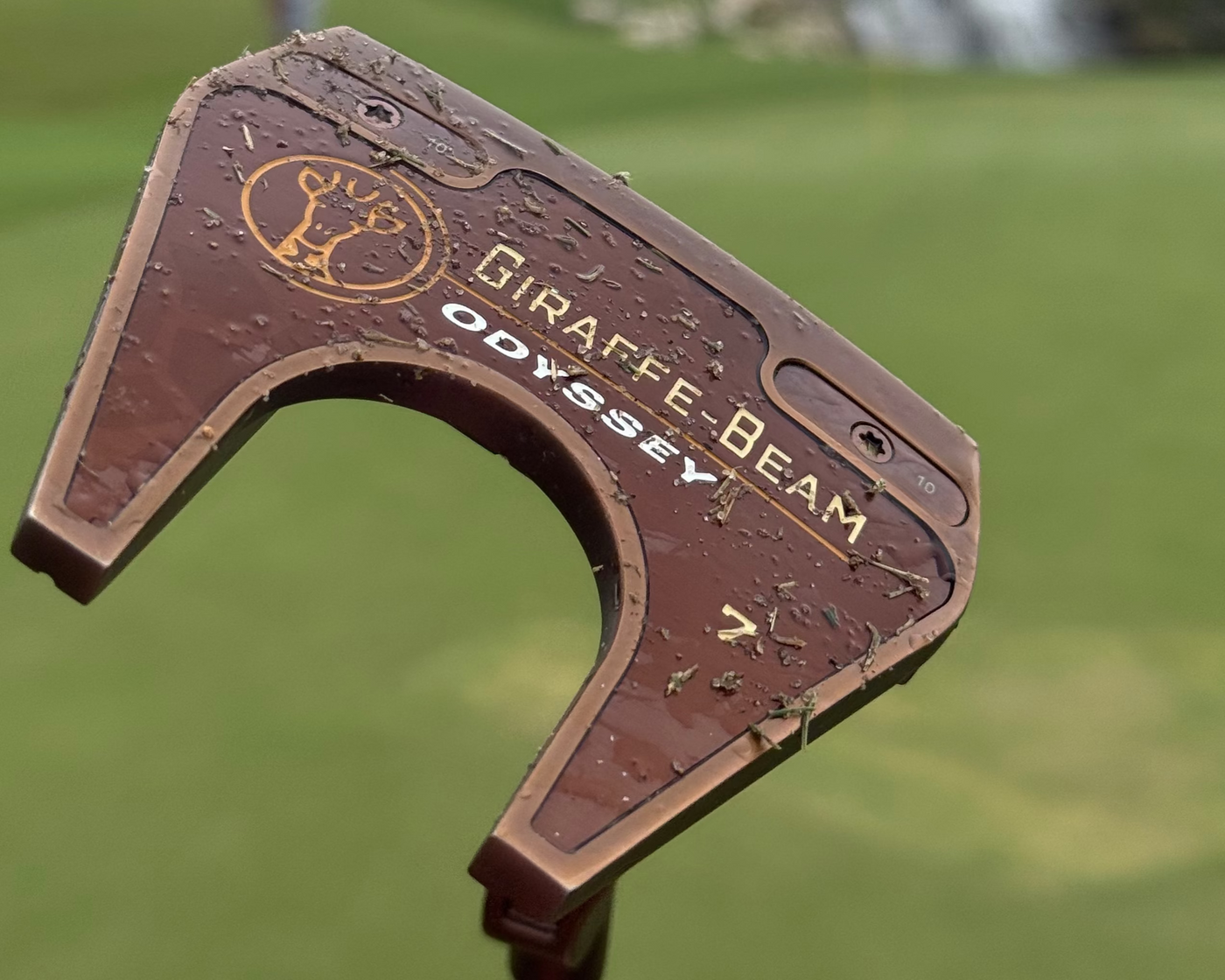 Golf putter head with 'Odyssey' branding on a blurred golf course background