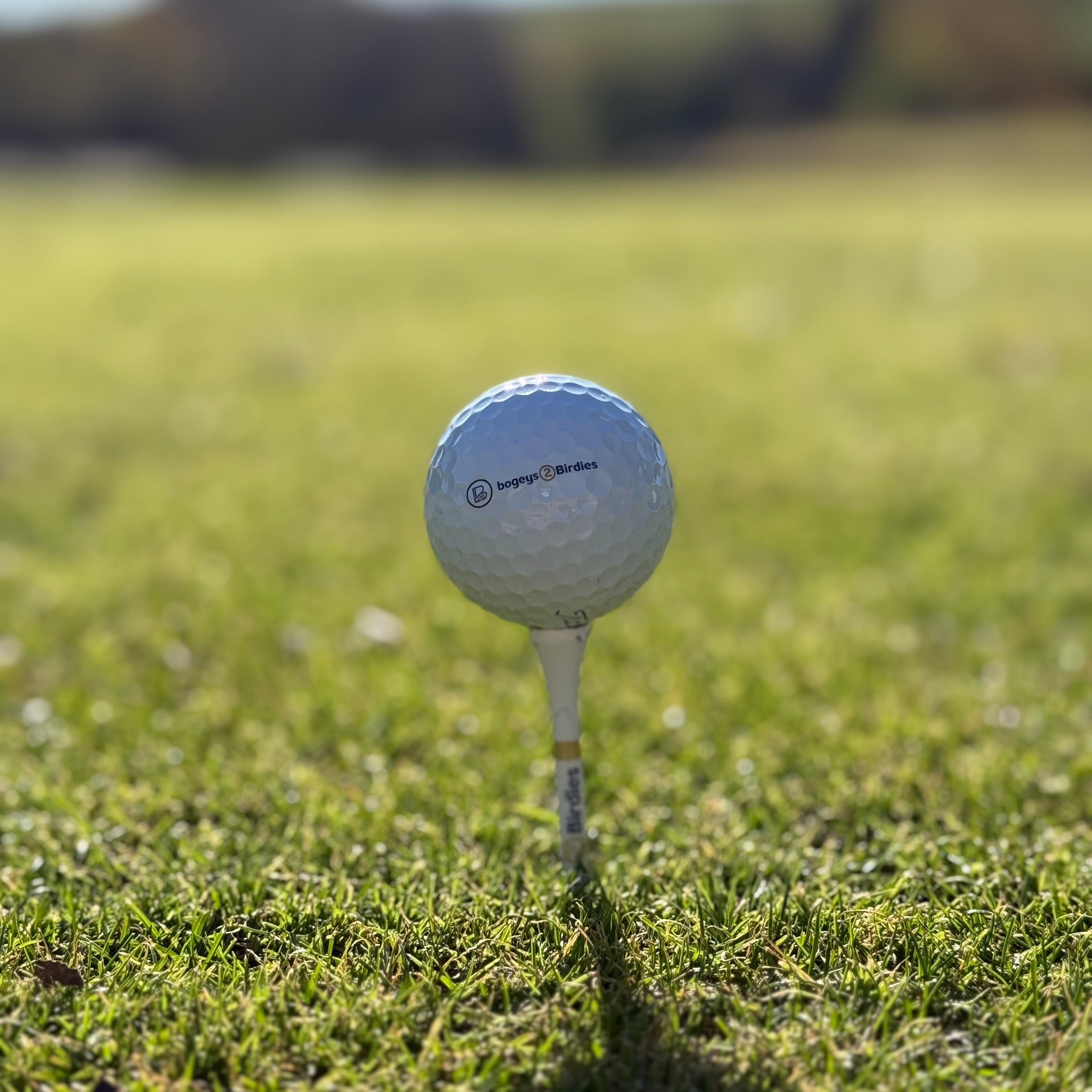bogeys2Birdies | Affordable Used Golf Clubs for Sale Online