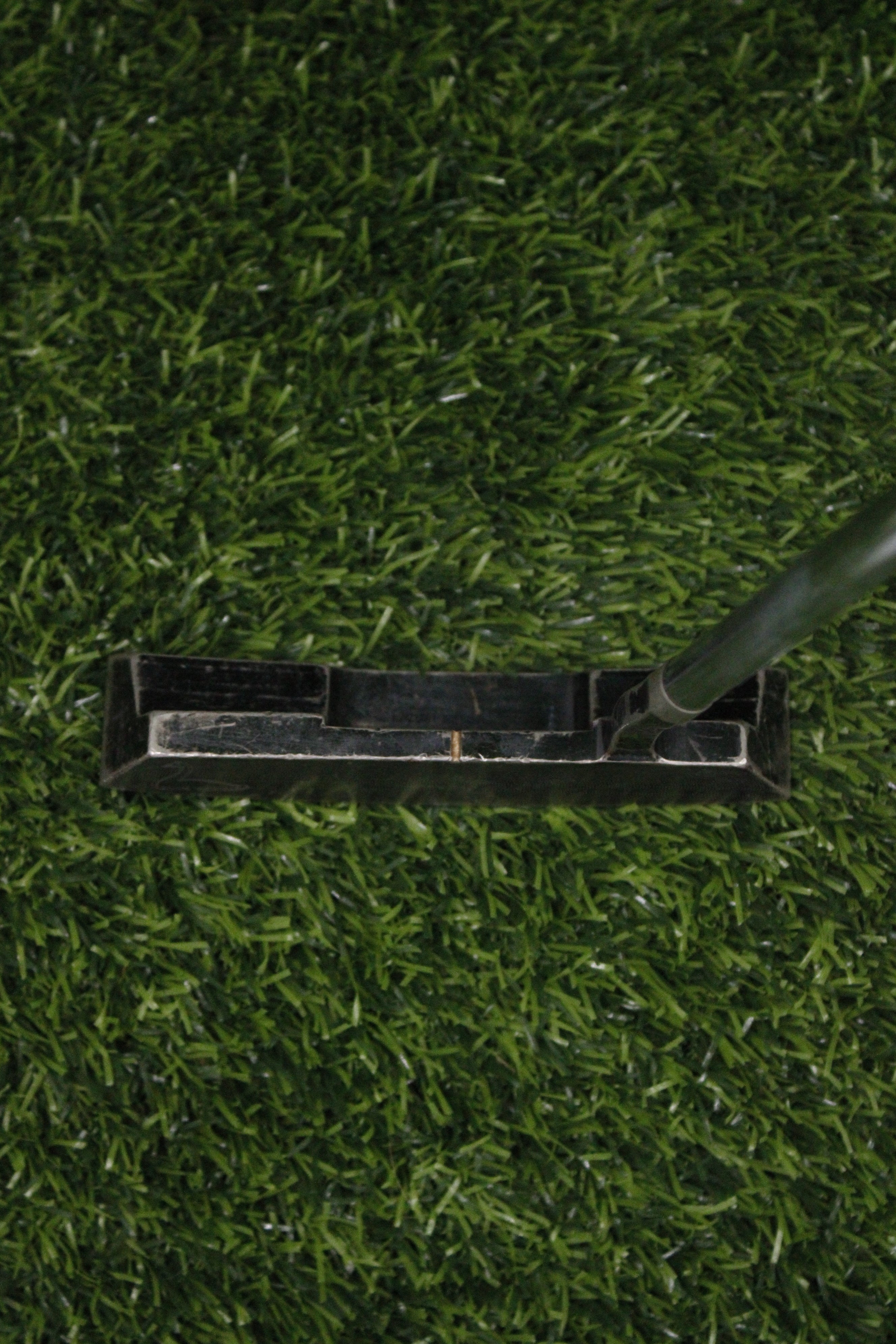 Ray Cook Blue Goose Black 1 Putter 36"