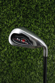 Callaway 2006 Big Bertha Iron Set 4-PW GW SW S Flex Std Length